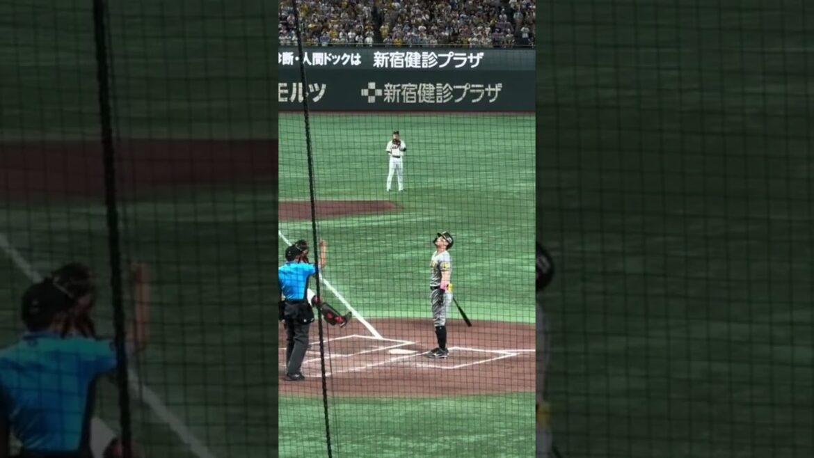 バットを叩き付けて悔しがる佐藤輝明と坂本勇人のポロリ #プロ野球 #阪神タイガース #坂本勇人#佐藤輝明