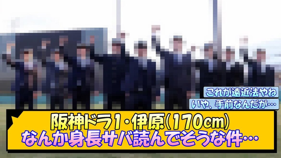 阪神ドラ1・伊原(170cm) なんか身長サバ読んでそうな件…【なんJ/2ch/5ch/ネット 反応 まとめ/阪神タイガース/藤川球児】