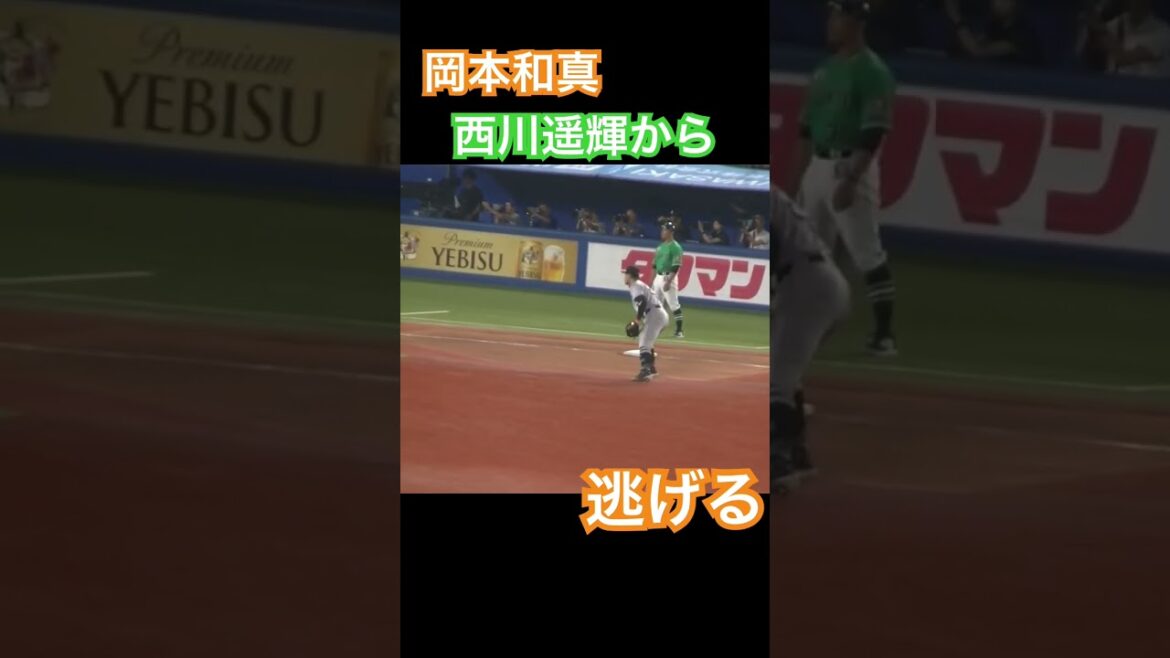 【仲良いのね】サード 岡本和真 西川遥輝と目があって追われるｗｗ（2024年7月5日ヤクルトスワローズ対 読売ジャイアンツ） #プロ野球 #岡本和真 #西川遥輝