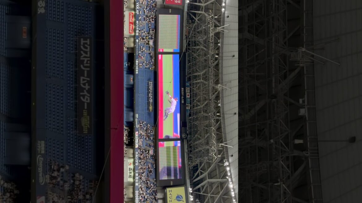 【オリックス】引退試合 T-岡田選手 安達了一選手 小田裕也選手 比嘉幹貴投手 スタメン発表前過去映像特集