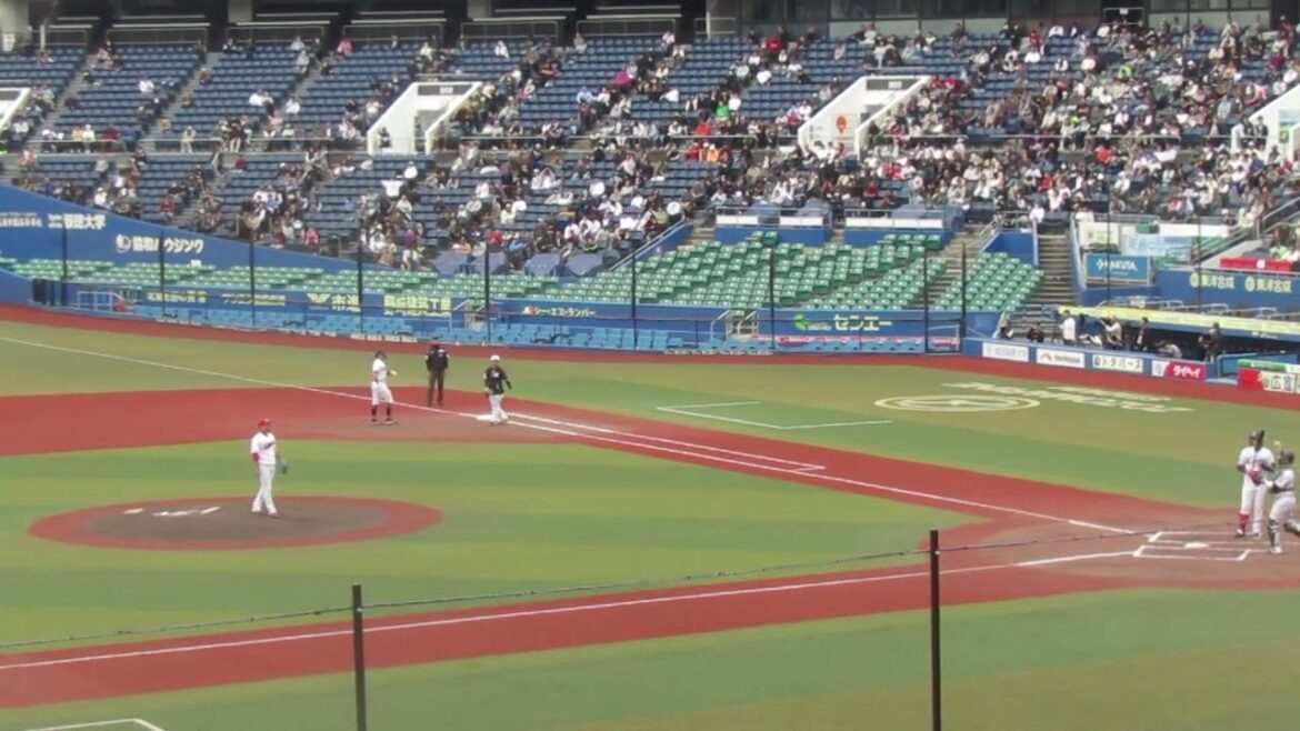 トライアウト〜巨人 菊田拡和がレフトへヒットを放ち 西武 高木渉が四球（2024年11月14日 プロ野球合同トライアウト ）