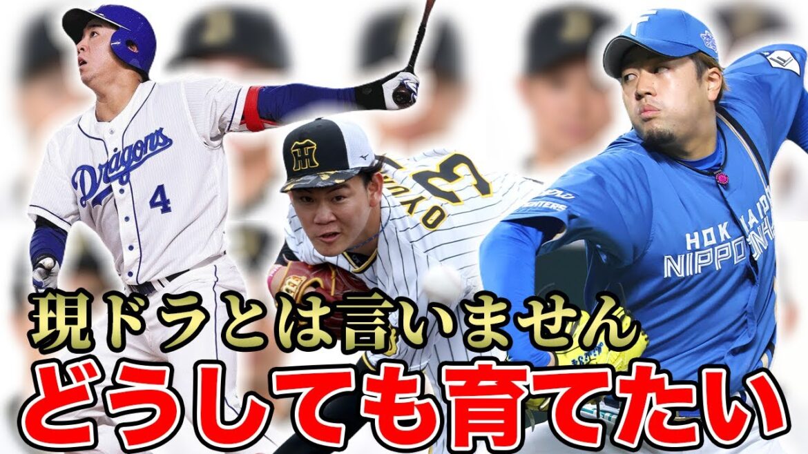 【リスト予想で急上昇】友好球団との交渉の末に成立するケースを考察!!!! 現役ドラフト終了で超最新のトレード問題を徹底解説【オリックスバファローズ】
