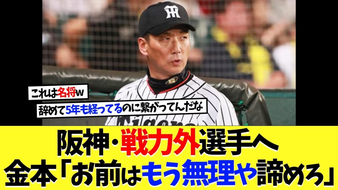 阪神･戦力外選手へ、金本前々監督「お前はもう無理や。諦めろ」【プロ野球】【野球】
