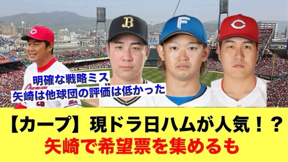 【カープ】現ドラ1人気は日ハム！カープは矢崎で希望票を集める作戦も…【広島カープスレ】