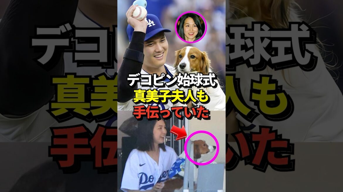 ㊗️22万再生！※証言あり 【新事実】デコピンの始球式は大谷翔平だけでなく、真美子夫人も手伝っていた事が明らかになったと話題に！#shorts #大谷翔平 #野球