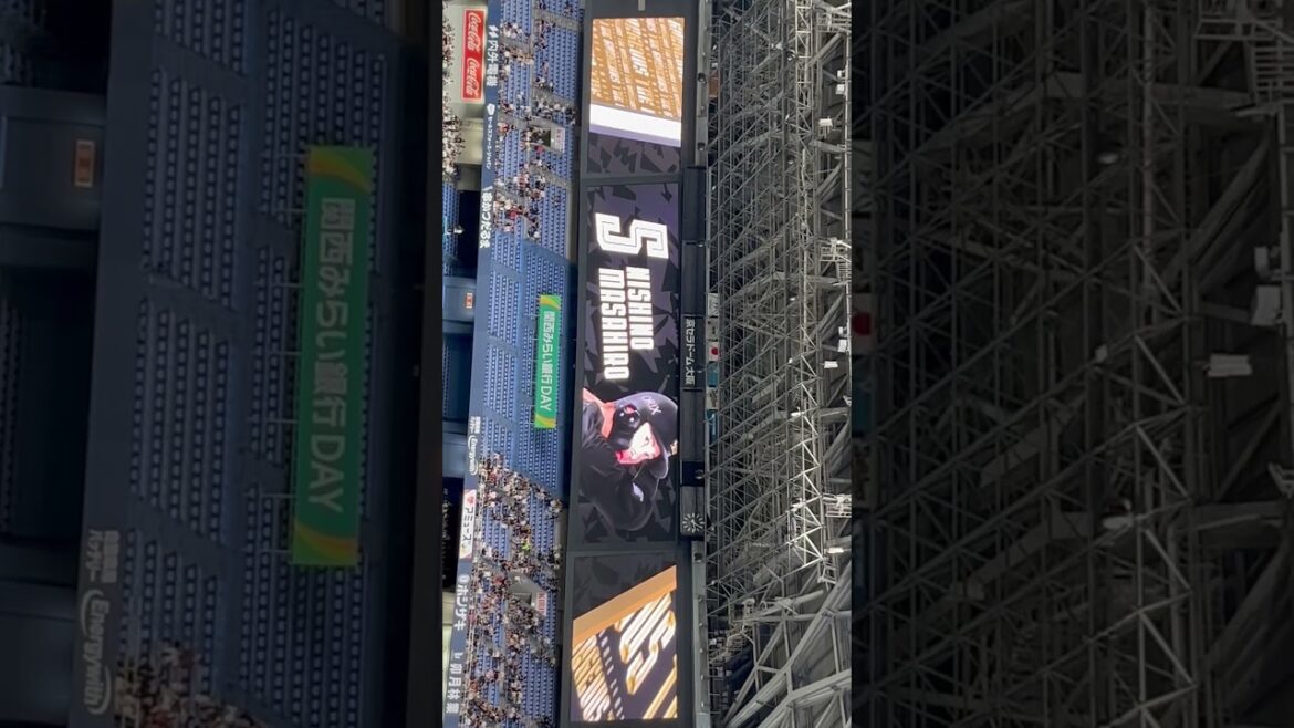 【オリックス】西野真弘選手 Bs夏の陣2024 ビジョン映像 オリックスバファローズ