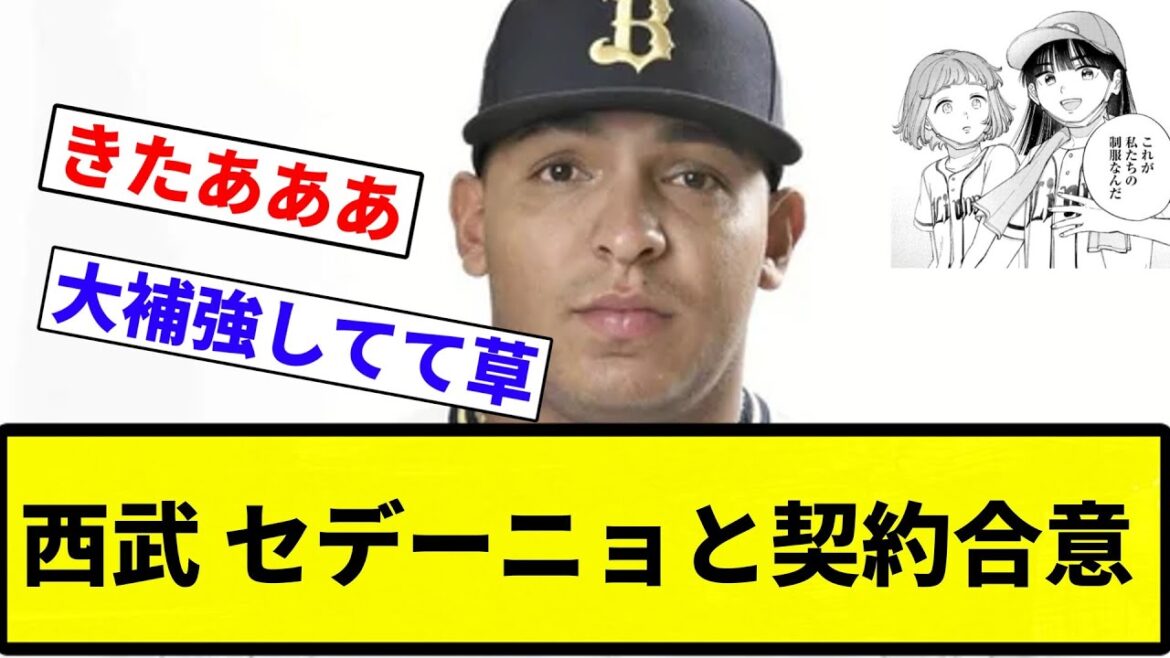 【契約すか？笑 】西武 セデーニョと契約合意【プロ野球反応集】【プロ野球反応集】
