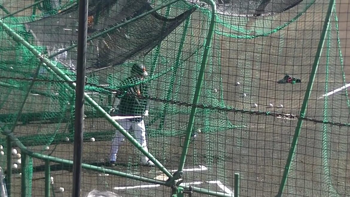 【ジャイアンツ】郡拓也がフリーバッティングを行う【巨人 秋季練習 2024年11月7日】 #読売ジャイアンツ