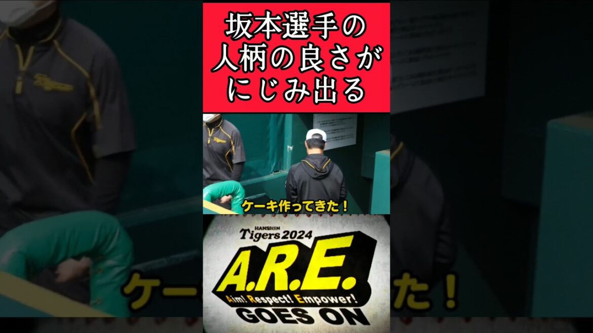 【阪神】"坂本誠志郎"福留の誕生日にケーキを作ってきた！ #阪神 #阪神タイガース #坂本誠志郎 #shorts