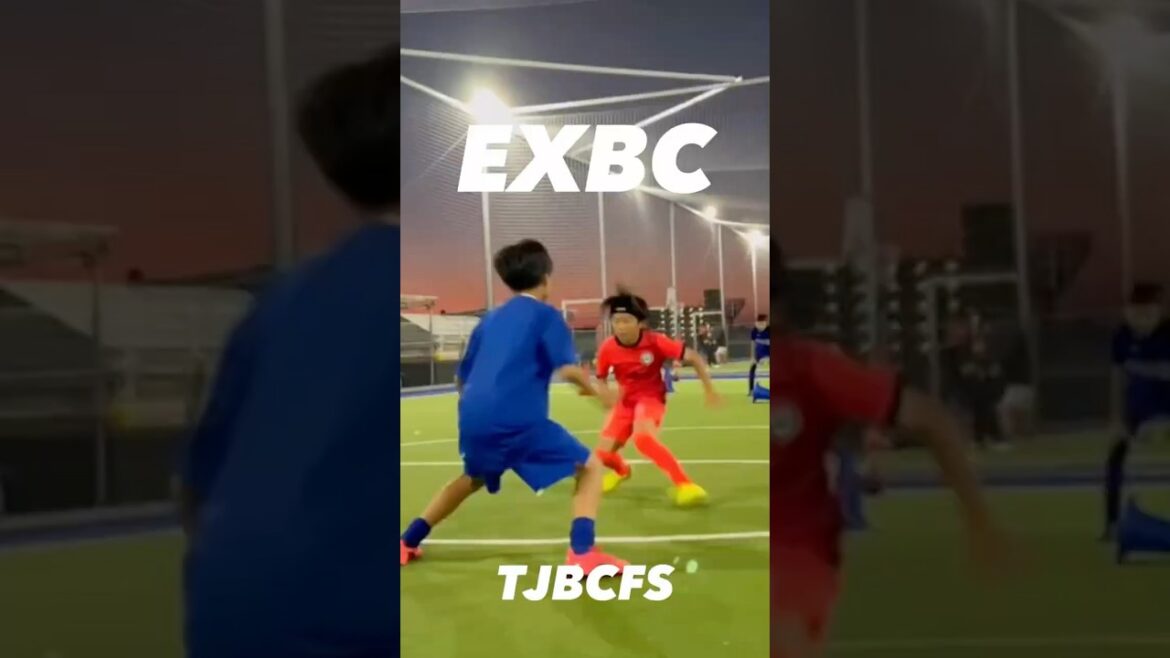 【スクール】 EXBC TJBCFS コーディネーション アジリティ2024.11