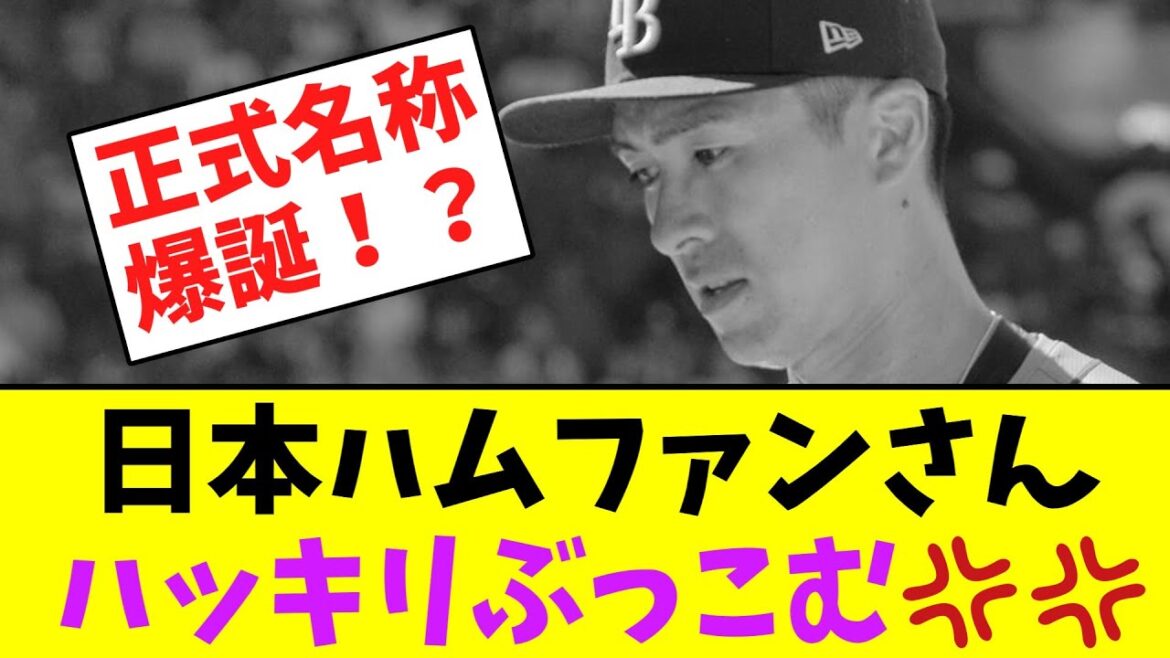 日本ハムファンさん、上沢の件でハッキリぶっこむ！！！【なんJなんG】【2ch5ch】