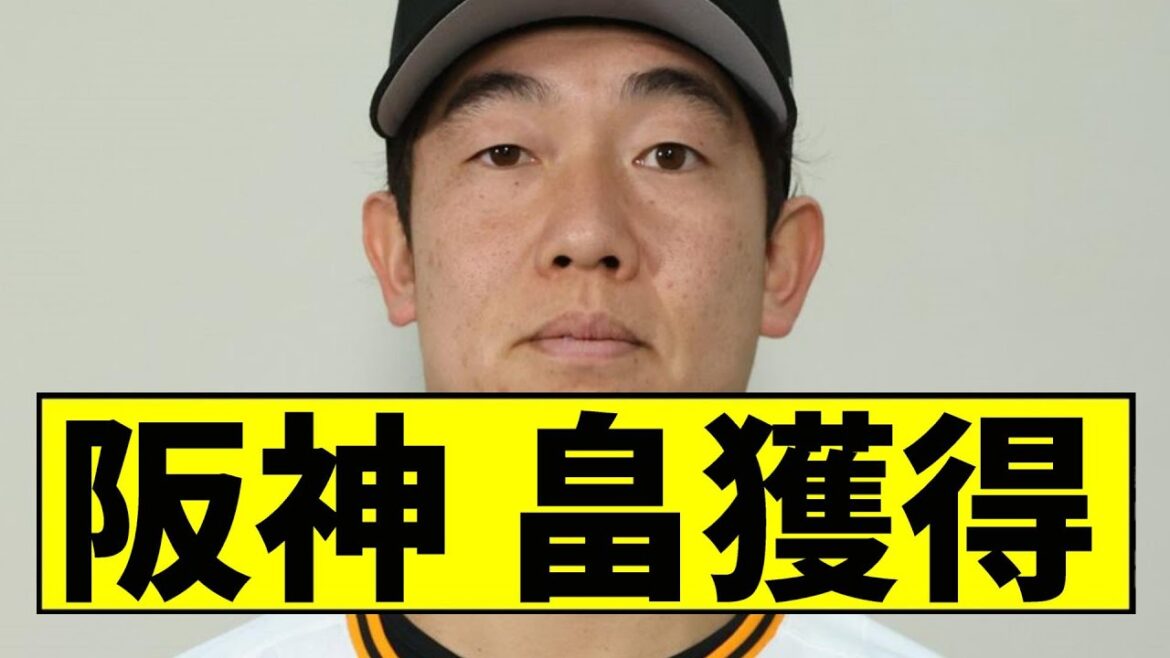 【阪神】畠を現役ドラフトで獲得ｗｗｗｗｗｗｗｗｗｗｗｗｗｗｗｗｗｗｗｗｗ【2chスレ】