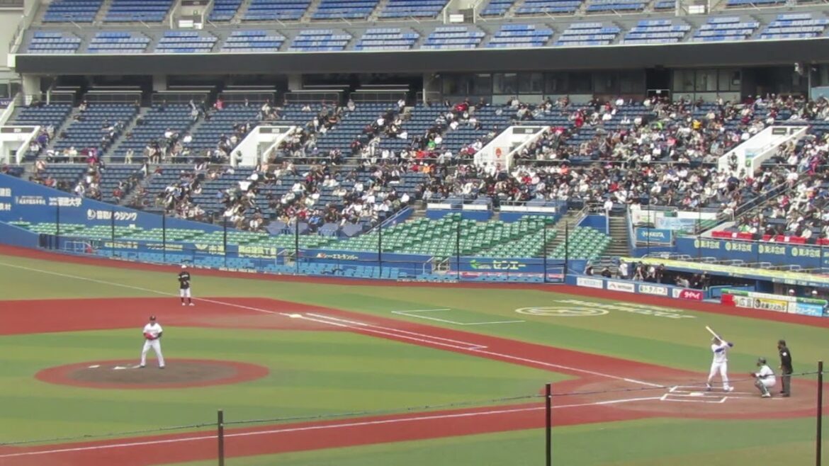 トライアウト〜中日 三好大倫が四球を選ぶ（2024年11月14日 プロ野球合同トライアウト ）