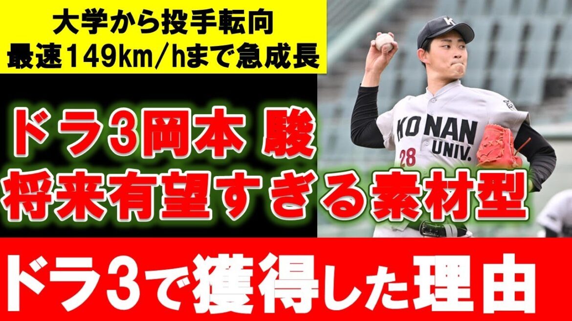 【カープ】ドラ3岡本駿の凄すぎる伸びしろ！3位指名が納得の理由は？投手転向4年目素材型の投手【広島東洋カープ】