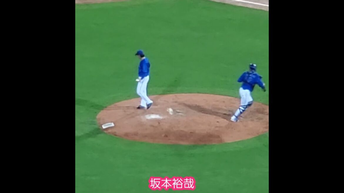 20240812 #坂本裕哉 #投球練習 #shorts 横浜DeNAベイスターズ@MAZDA Zoom-Zoom スタジアム広島・ビジターパフォーマンス 20240812 #坂本裕哉 #投球練習 #shorts 横浜DeNAベイスターズ@MAZDA Zoom-Zoom スタジアム広島・ビジターパフォーマンス