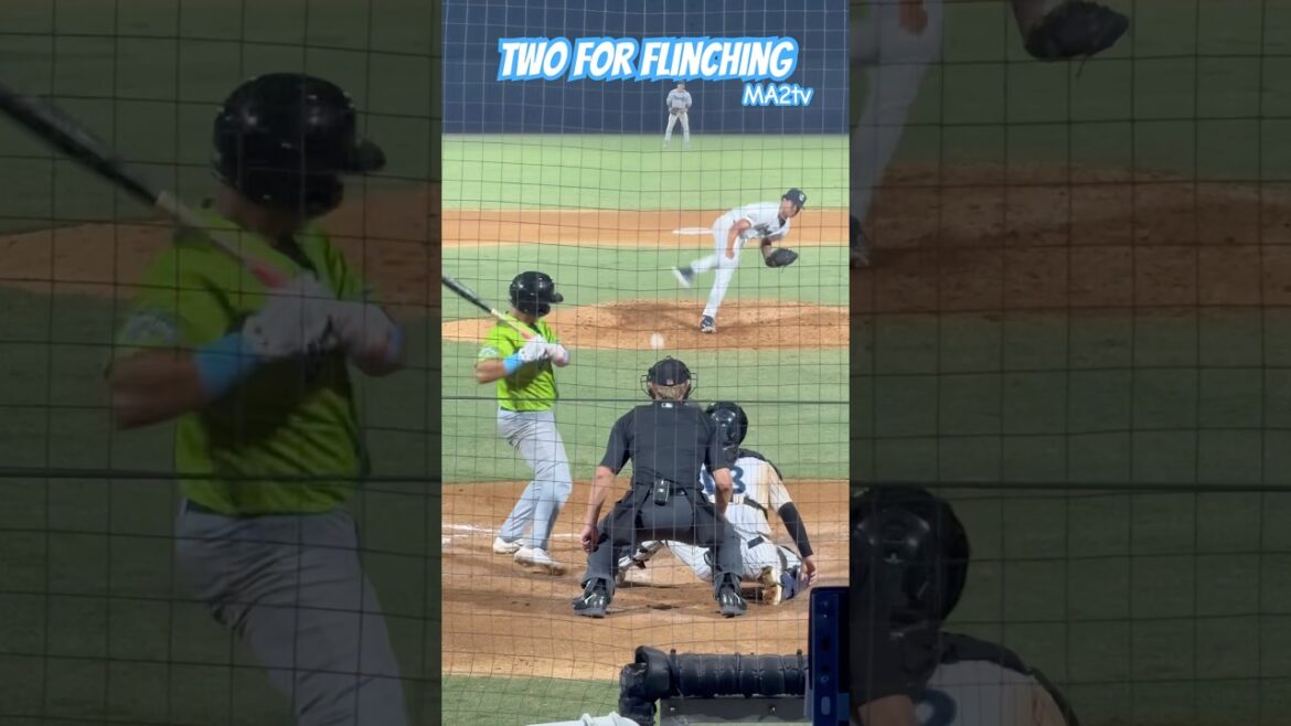 Two 4 Flinching!  The hitter doesn’t pick up the spin #baseball #prospect #MILB #NYY #YoljeldrizDiaz