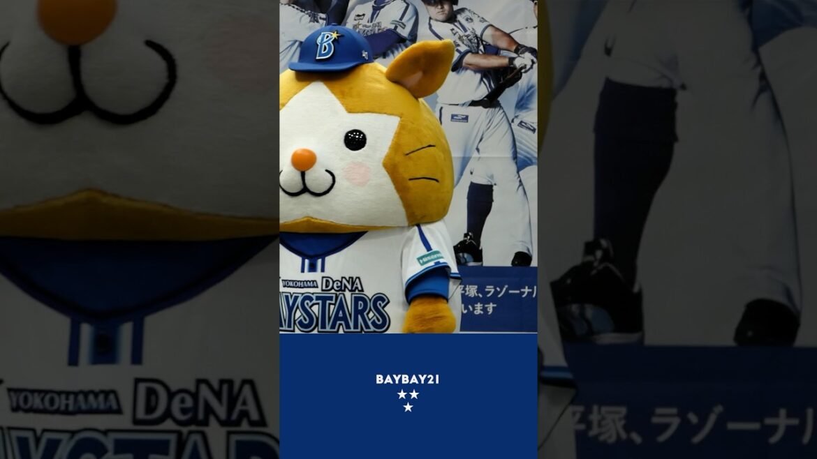 仕草が超かわいいスターマン 🐹 #スターマン #baystars #横浜DeNAベイスターズ