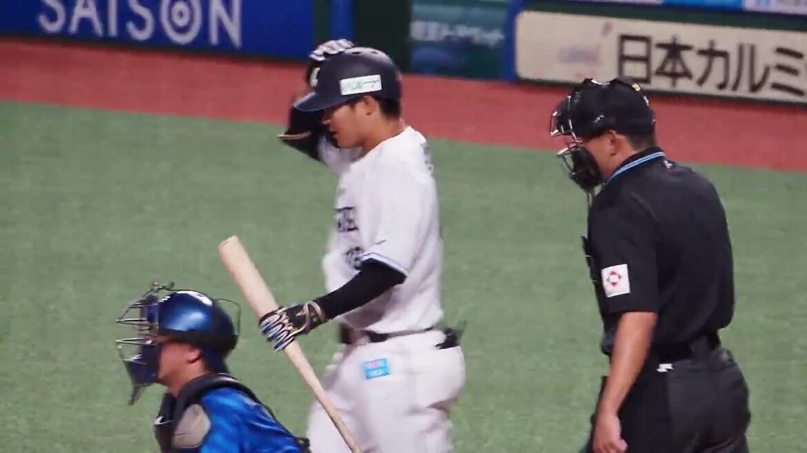 2024.05.23 埼玉西武-横浜DeNA(ベルーナドーム) 鈴木将平 打席シーン