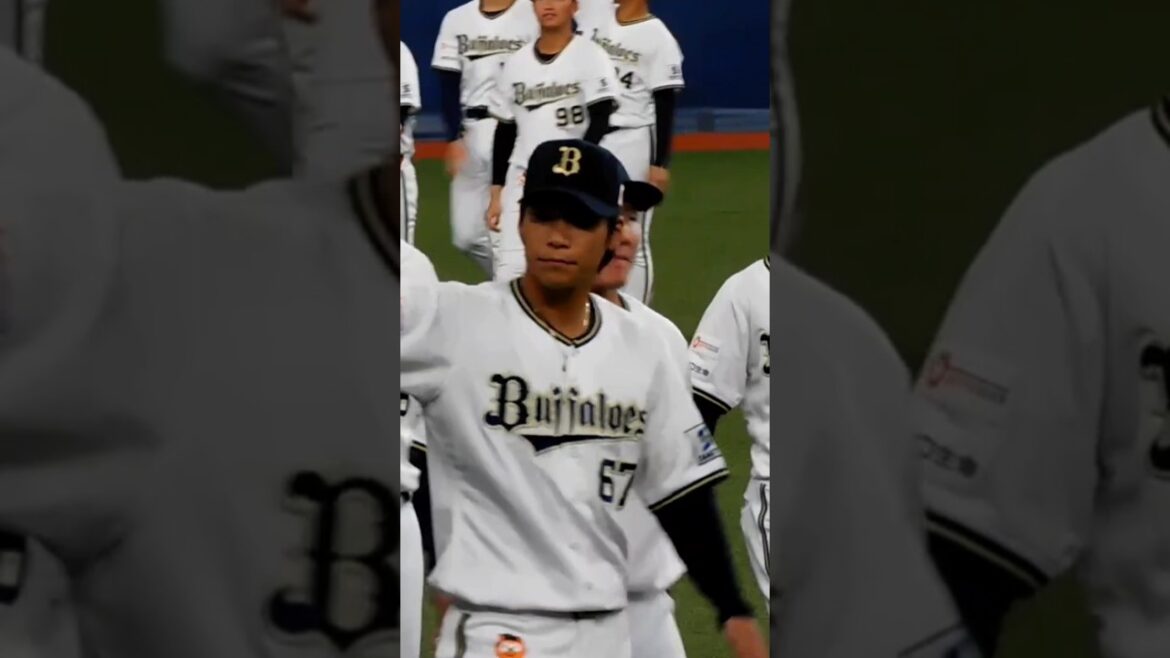 20241124ファンフェス24 #福田周平 #福永奨#茶野篤政#中川圭太 #平野佳寿  #orixbuffaloes #オリックスバファローズ