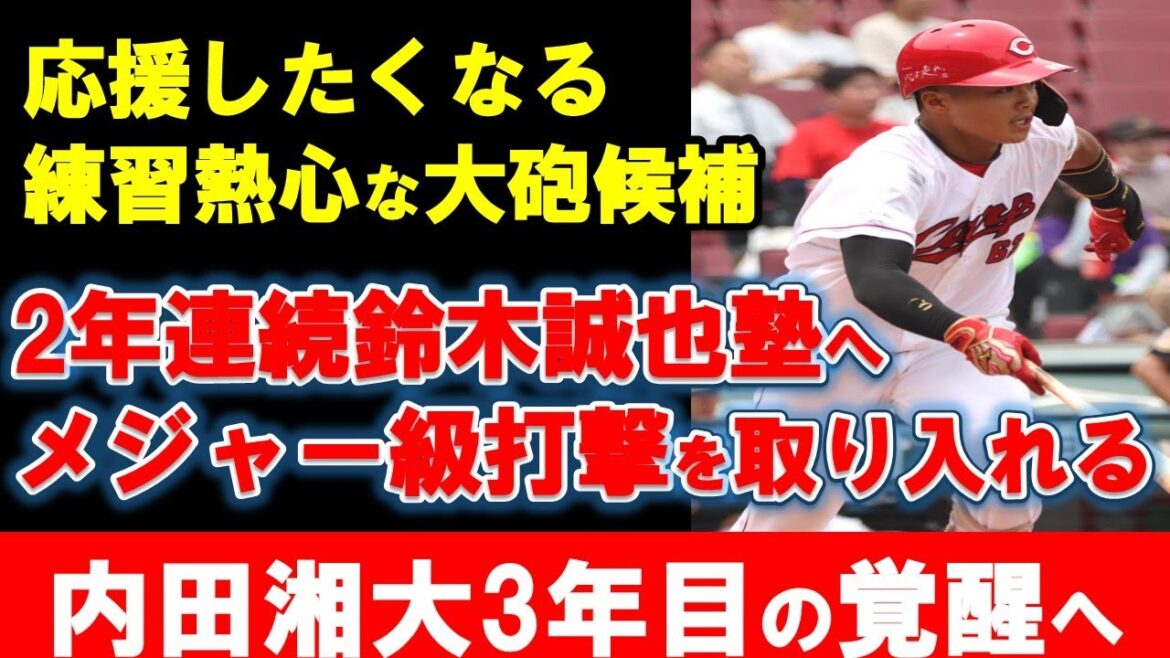 【カープ】内田が2年連続鈴木誠也と自主トレで覚醒へ！2年目もポジティブな成績満載！今後の課題や期待は？【広島東洋カープ】