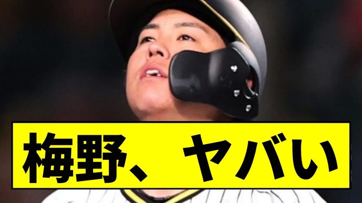 【阪神】梅野がヤバい事に...【2chスレ】