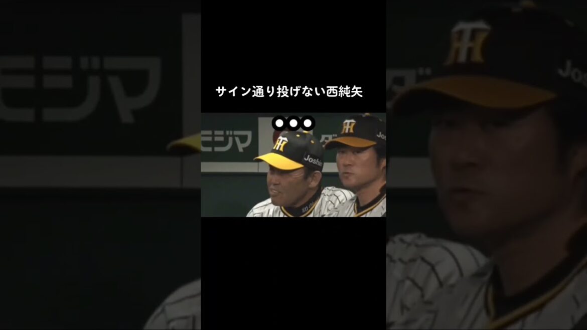 サイン通りに投げない西純矢 #西純矢 #野球 #shorts