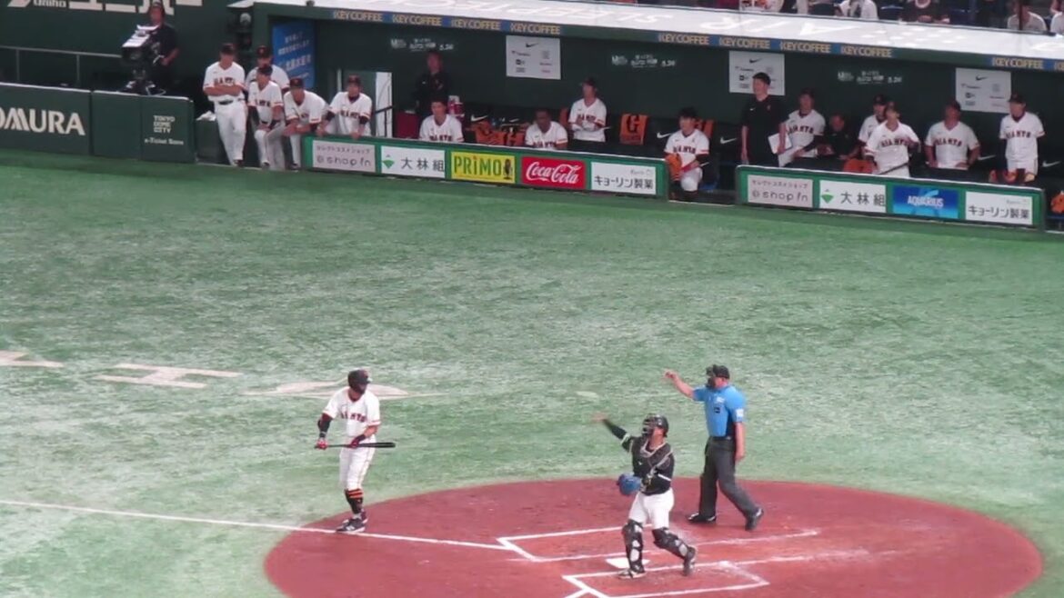 坂本勇人 三振の後 立岡宗一郎がエラーで出塁した時の巨人ベンチの様子＜読売ジャイアンツ対 千葉ロッテマリーンズ2024年6月6日＞