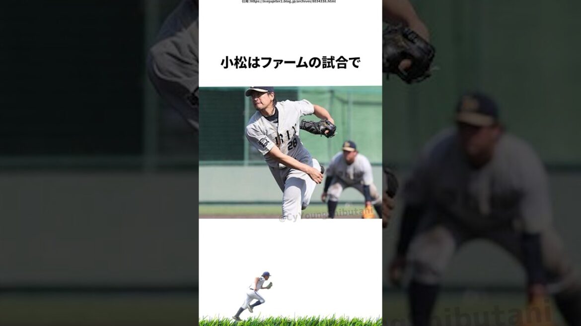 【プロ野球】WBCから帰ってこなかった新人王小松聖に関する雑学・エピソード