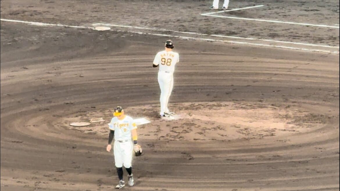 【佐藤蓮一軍プロ初登板】2024/9/30 阪神タイガースvs横浜DeNAベイスターズ　#阪神タイガース #佐藤蓮　#阪神