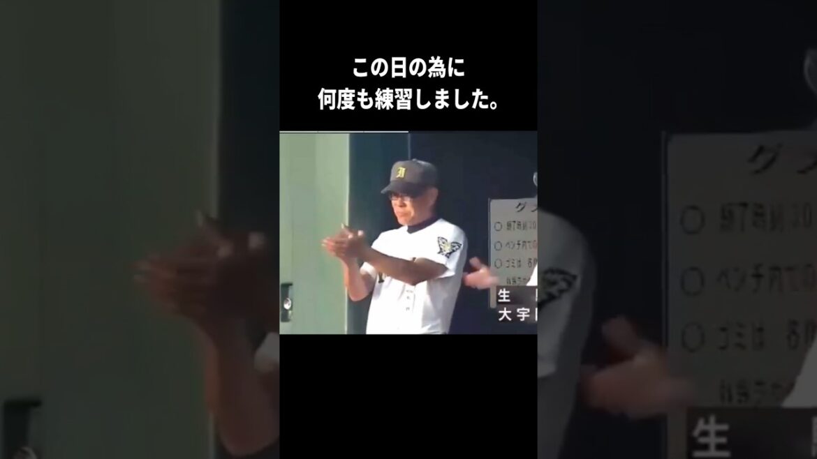 高校野球　青春を捧げる