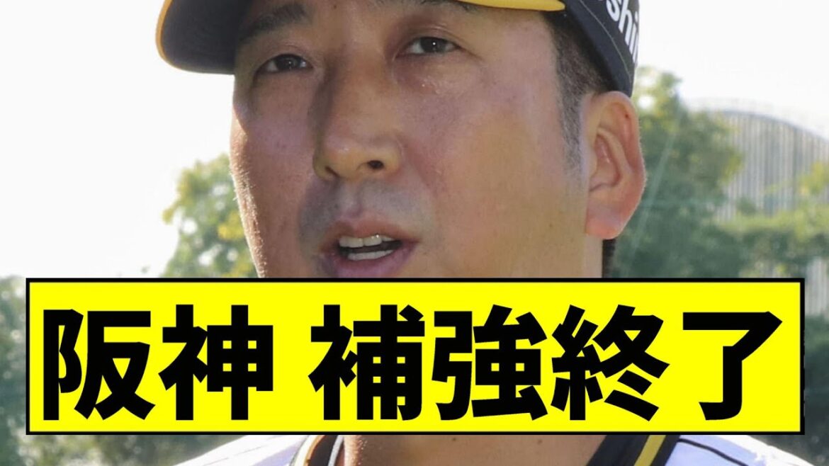 【阪神】補強終了ｗｗｗｗｗｗｗｗｗｗｗｗｗｗｗｗｗｗｗｗｗｗｗｗｗ【2chスレ】