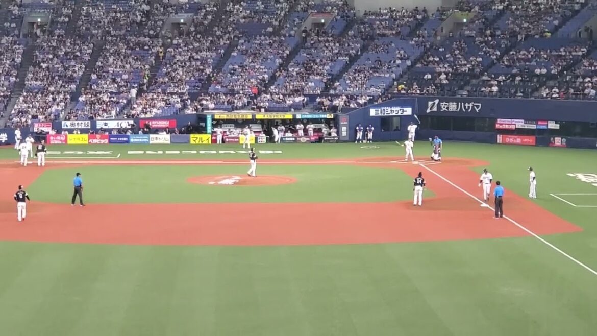 20240627　動き回る元気♪【西野真弘 応援歌】　1回ｳﾗ　ｵﾘｯｸｽ･ﾊﾞﾌｧﾛｰｽﾞ@京ｾﾗﾄﾞｰﾑ大阪･ﾚﾌﾄ外野下段 Bsｵﾘ姫ﾃﾞｰ2024