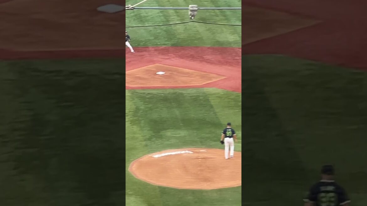 長岡秀樹 センター前に抜けそうな打球を取るファインプレー‼︎  #shorts #東京ヤクルトスワローズ #プロ野球