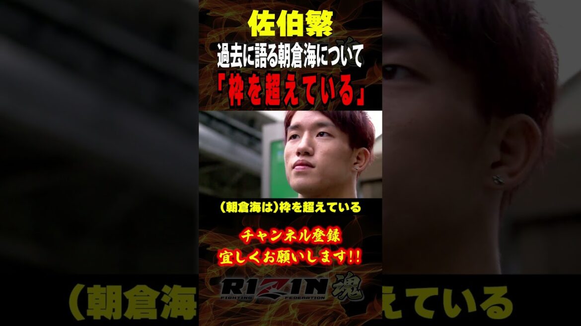 【佐伯繫】「枠を超えている」過去に語る朝倉海、アウトサイダー選手について / エピソード３ / UFC310 / フライ級タイトルマッチ /『アレッシャンドリ・パントージャ vs. 朝倉海 』