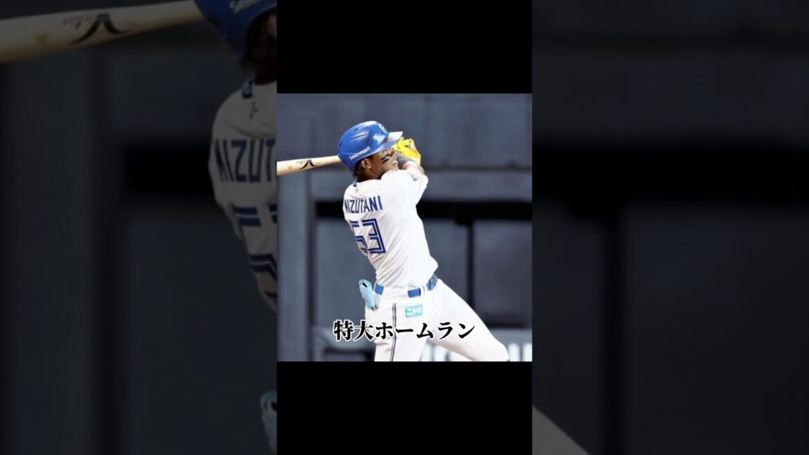 日本ハムで花開け、水谷瞬 日本ハムで花開け、水谷瞬