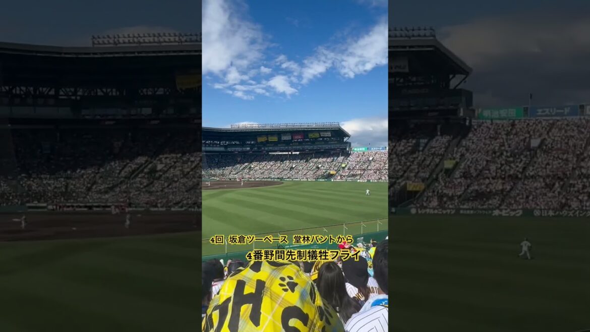 #才木浩人 #野間峻祥 4回先制犠牲フライ