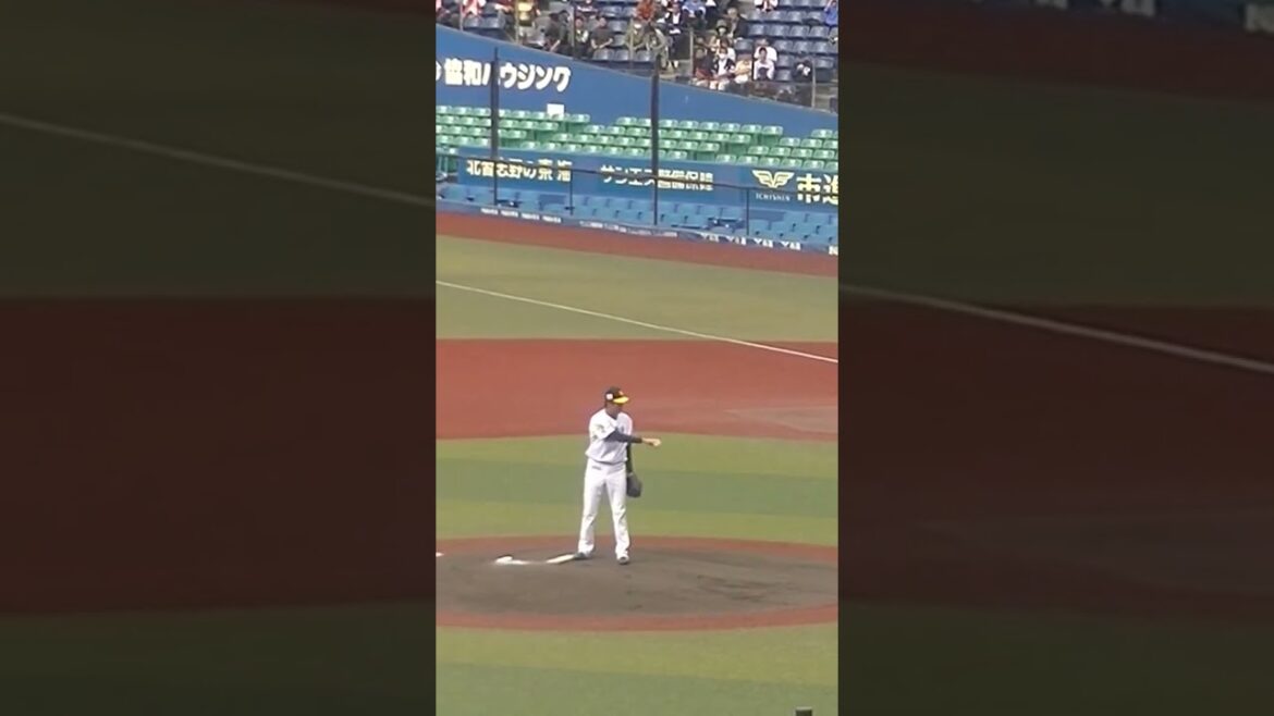 【合同トライアウト】ホークス中村亮太の投球フォーム2024年プロ野球12球団合同トライアウト11月14日