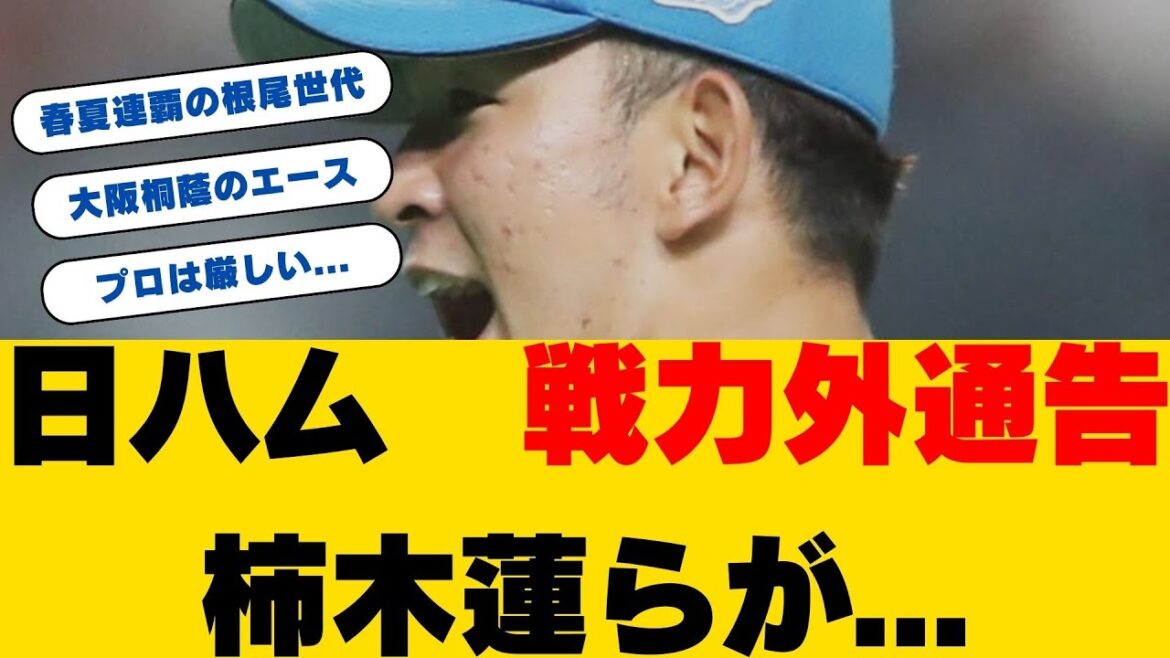 【日本ハム】柿木蓮ら4選手に戦力外通告!大阪桐蔭春夏連覇の「根尾世代」エースが再び戦力外に 【日本ハム】柿木蓮ら4選手に戦力外通告!大阪桐蔭春夏連覇の「根尾世代」エースが再び戦力外に