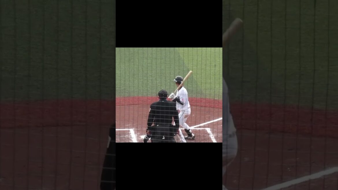 マリーンズ髙部瑛斗バッティングフォーム千葉ロッテマリーンズ対ソフトバンクホークス2024年3月8日 2