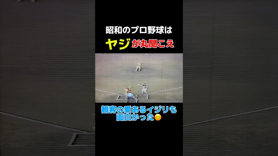 昭和プロ野球の【野次】をご覧下さい😊