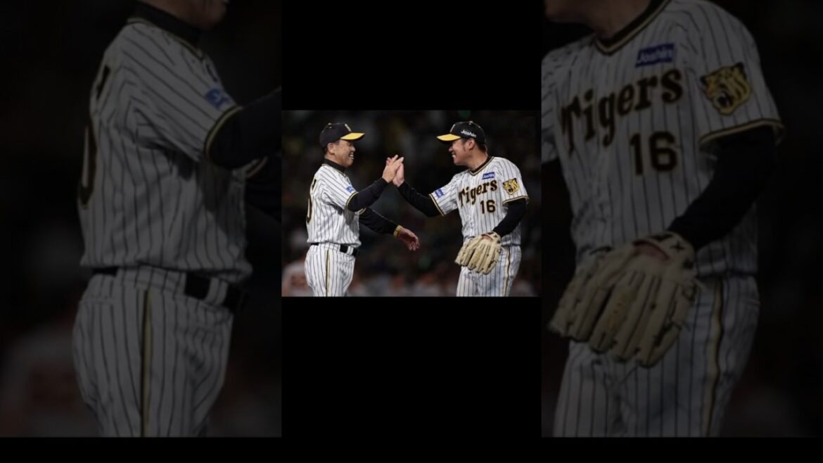 【㊗️西2000投球回達成🎉】どんでんと西勇輝３選【おーん】【阪神岡田監督】【阪神タイガース】【岡田彰布】