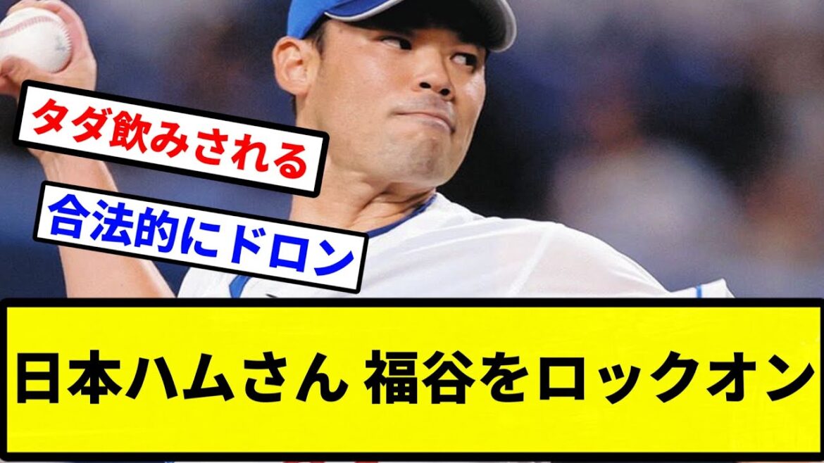【ハム喰っとるで】日本ハムさん 福谷をロックオン【なんJ反応】【プロ野球反応集】【2chスレ】【1分動画】【5chスレ】 【ハム喰っとるで】日本ハムさん 福谷をロックオン【なんJ反応】【プロ野球反応集】【2chスレ】【1分動画】【5chスレ】