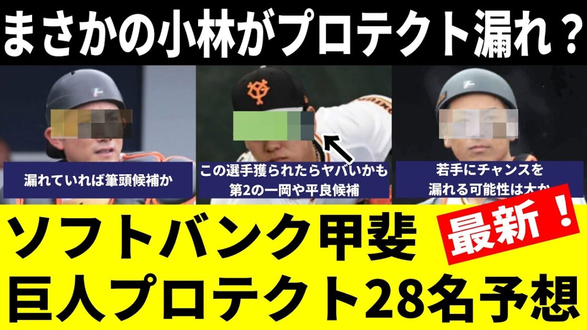 【ソフトバンク甲斐】巨人プロテクト28名と人的補償の予想「SBが狙う候補はこの3人」小林が漏れていれば筆頭か！第2の一岡や平良に若手捕手にも注目