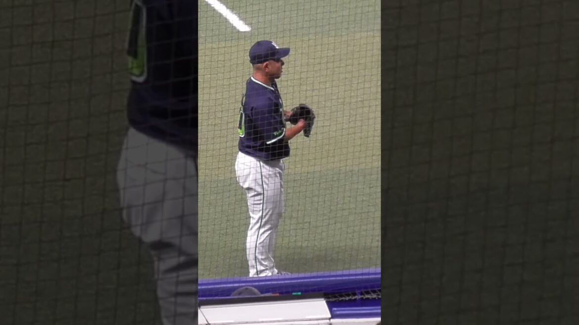 西田 明央（にしだ あきひさ）捕手　現役継続模索中　#東京ヤクルトスワローズ #shorts