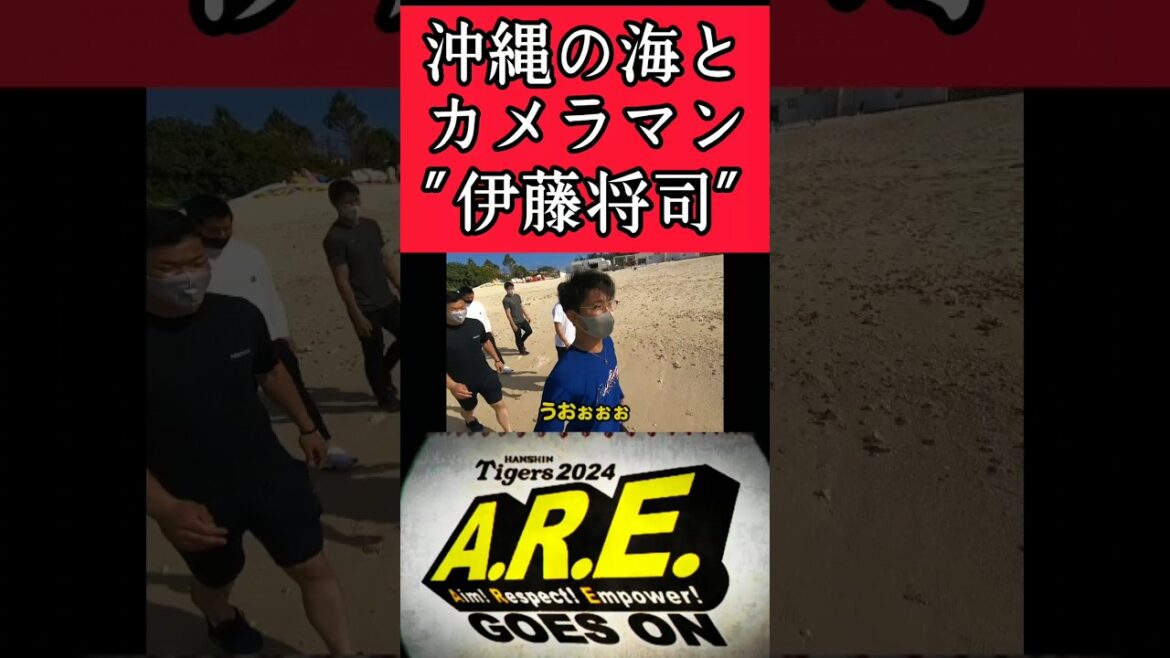 【阪神】伊藤将司がカメラマンに！ #阪神 #阪神タイガース #伊藤将司 #shorts