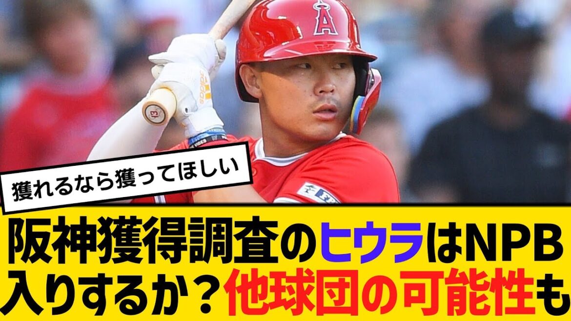 阪神が獲得調査のヒウラはNPB入りするのか？他球団が動く可能性も　【ネットの反応】【反応集】