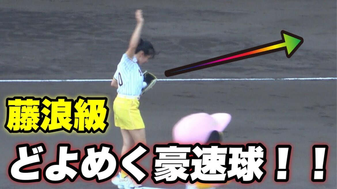 【甲子園がどよめく程の豪速球！！テニス 加藤未唯さんの始球式！！】阪神対横浜