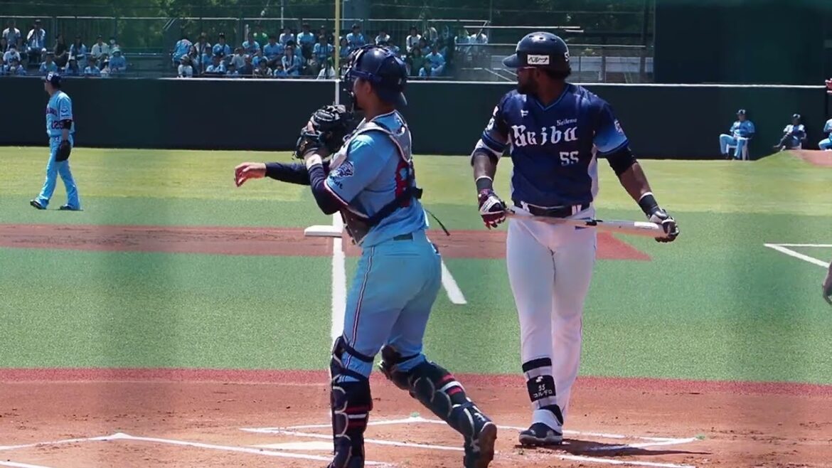 2024.05.25 東京ヤクルト-埼玉西武(ヤクルト戸田) コルデロ 打席シーン