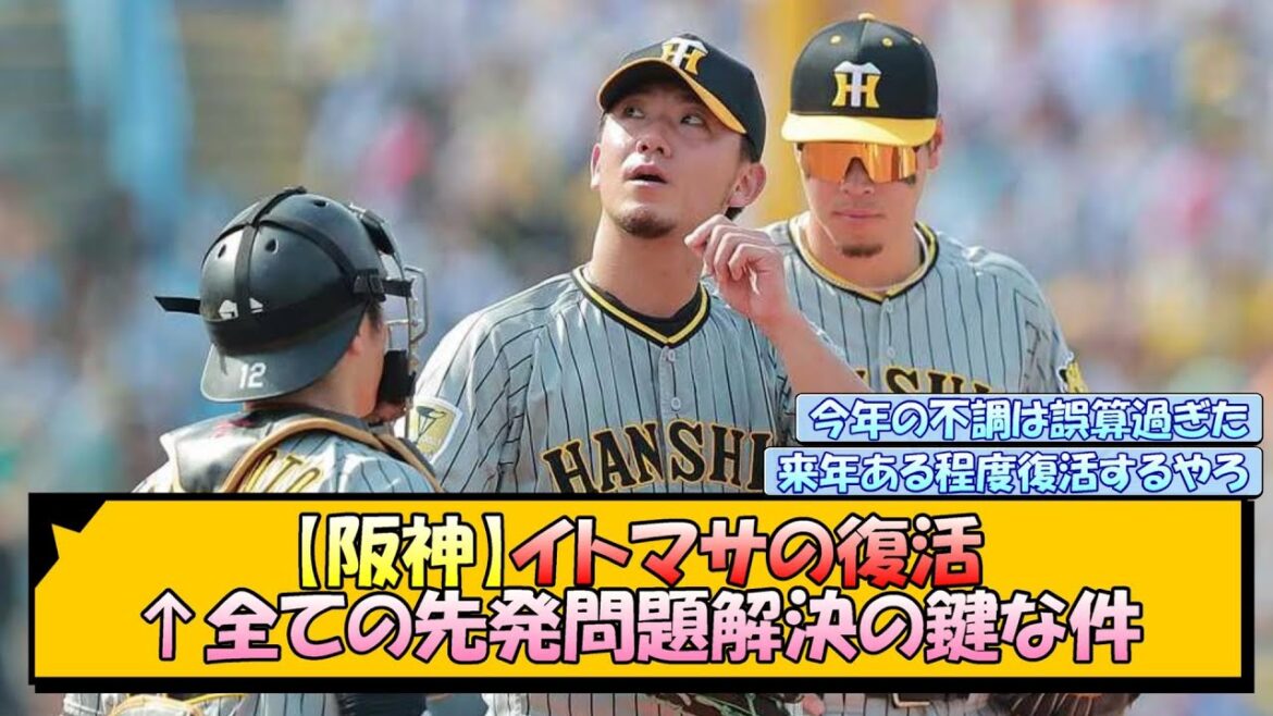 【阪神】イトマサの復活←全ての先発問題解決の鍵な件【なんJ/2ch/5ch/ネット 反応 まとめ/阪神タイガース/藤川球児】