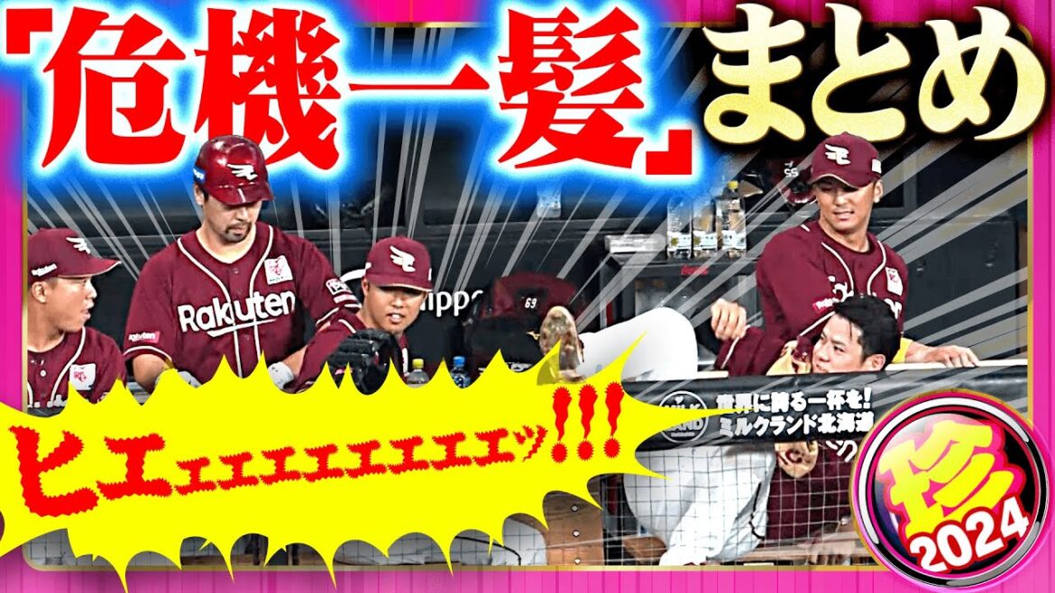 【ヒヤヒヤが過ぎる】危機一髪あり、回避不可避あり【危なーい珍プレー】